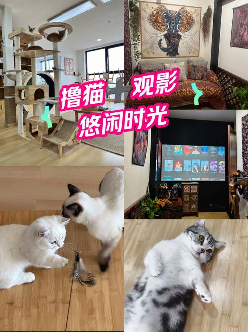 国产精品美女久久久网av的相关介绍