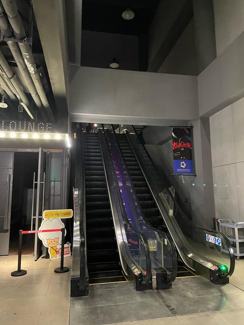 国产精品色s的相关介绍