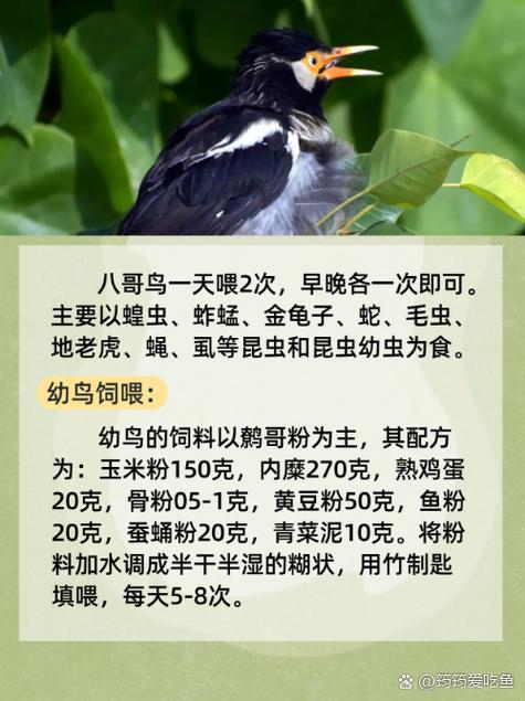 女老师操我的相关介绍