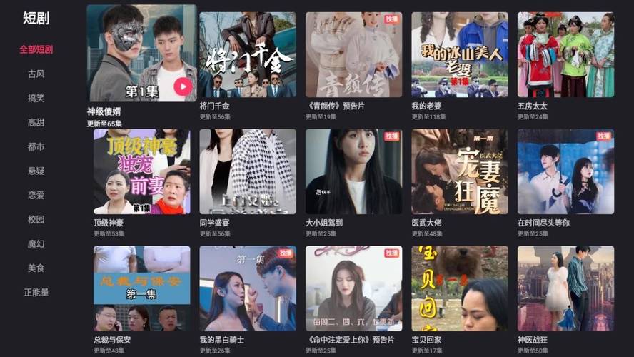 高清成人影院的相关介绍