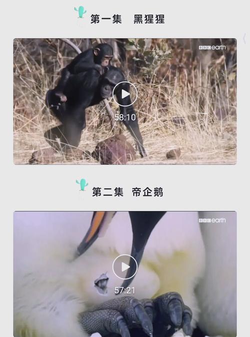 欧美图片12p的相关介绍