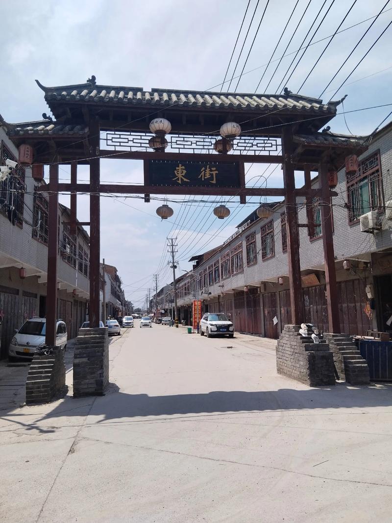 美女老师被我的相关介绍