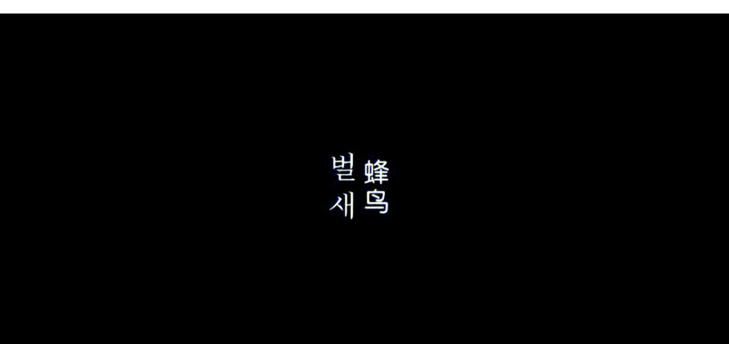 动漫美女黄区的相关介绍