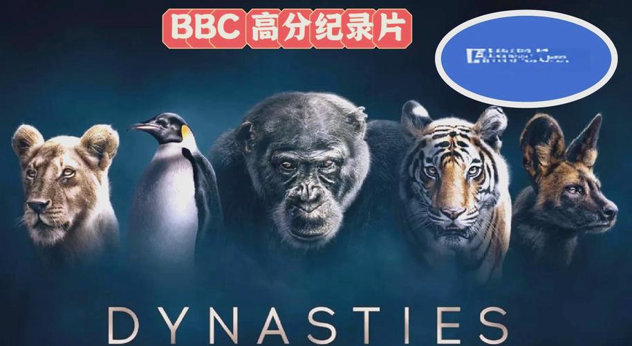 欧美成人影院大黑b的相关介绍