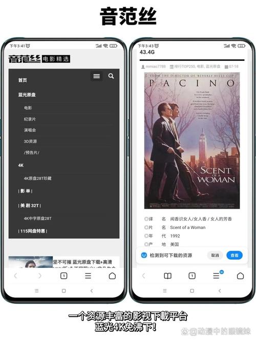 美女av福利一区的相关介绍