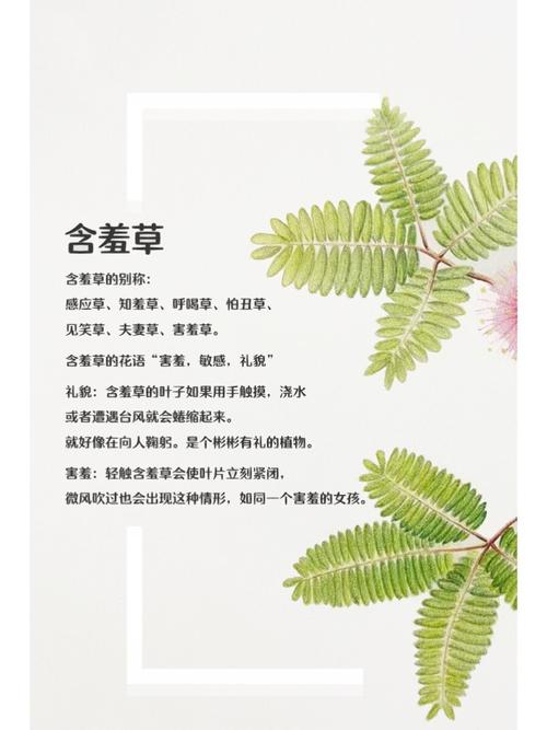 高h人妻文的相关介绍