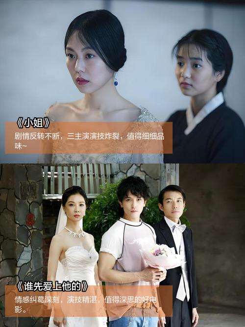 老色驴影院的相关介绍