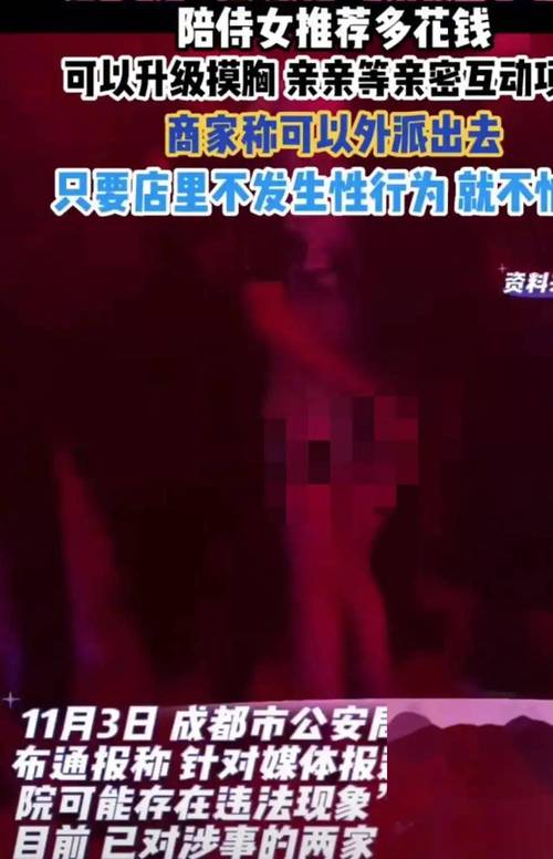 电脑怎么看毛片的相关介绍
