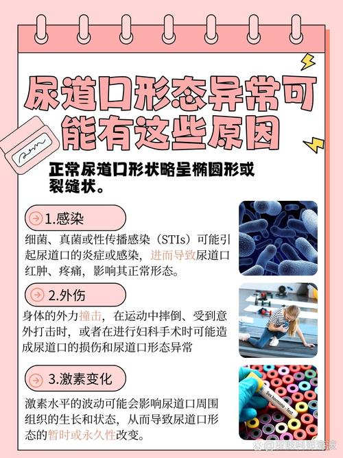 成熟女人毛片avwww的相关介绍