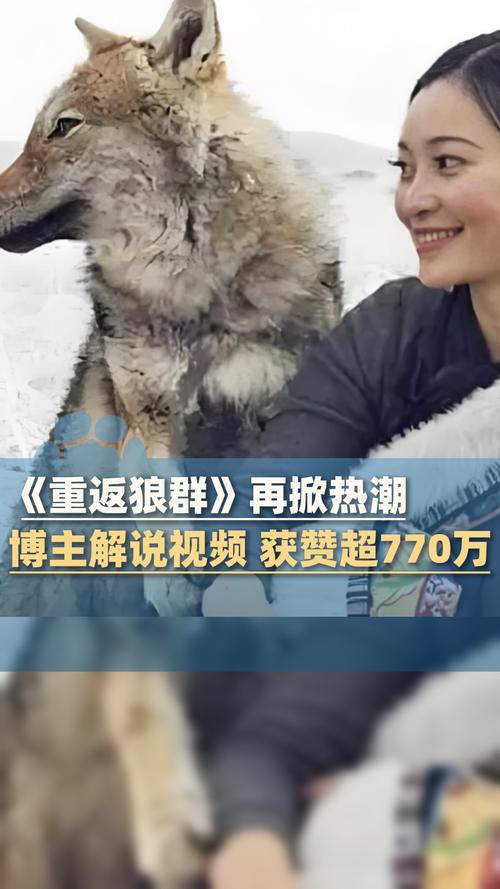 啪啪啪入伦理的相关介绍