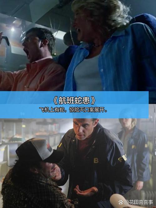 久久91人妻的相关介绍