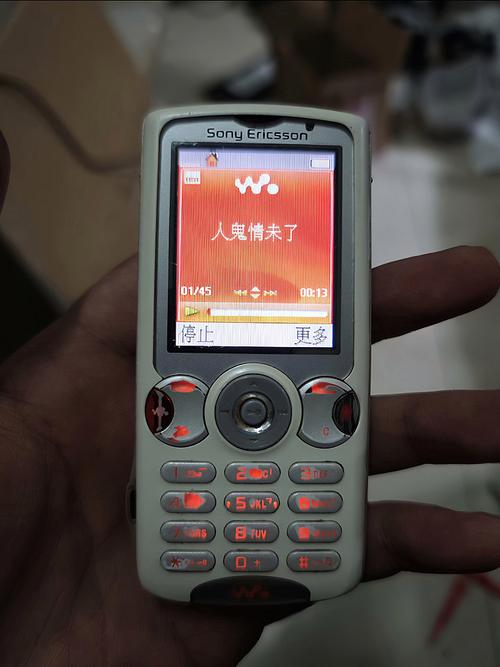 29影院大卫的相关介绍