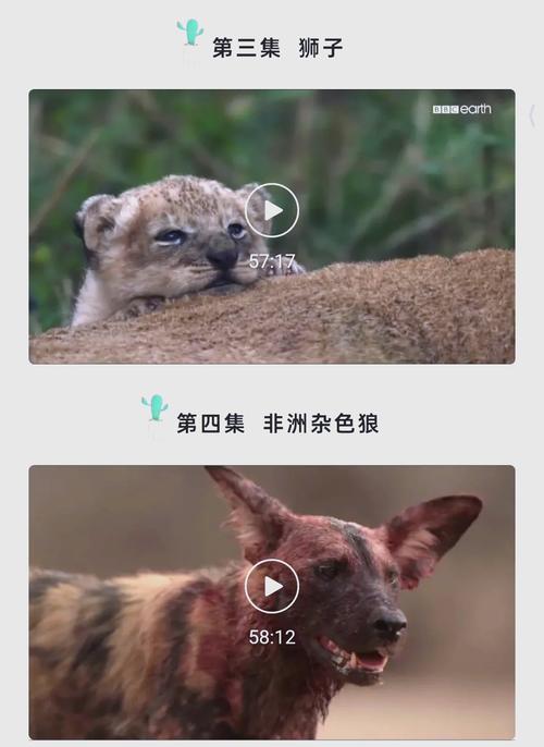 老湿机影院费全过程的相关介绍