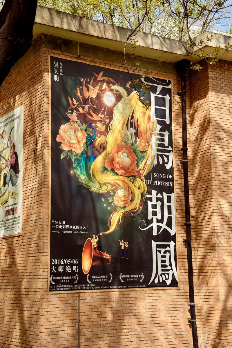 aavv国产精品的相关介绍