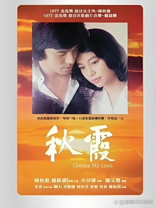 日本精油按摩全集的相关介绍