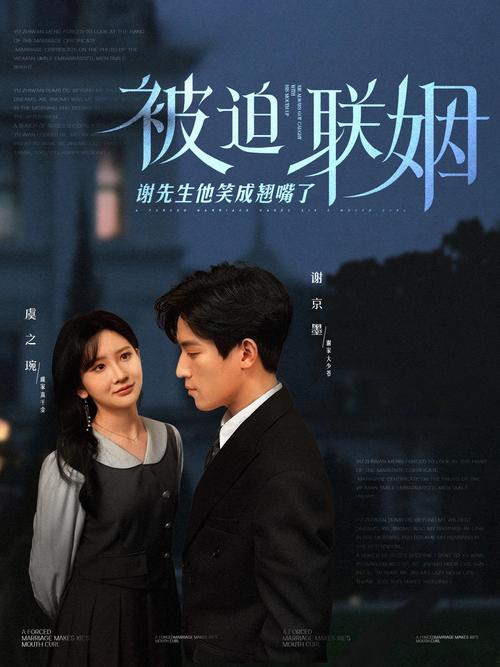 可以看毛片网站的相关介绍