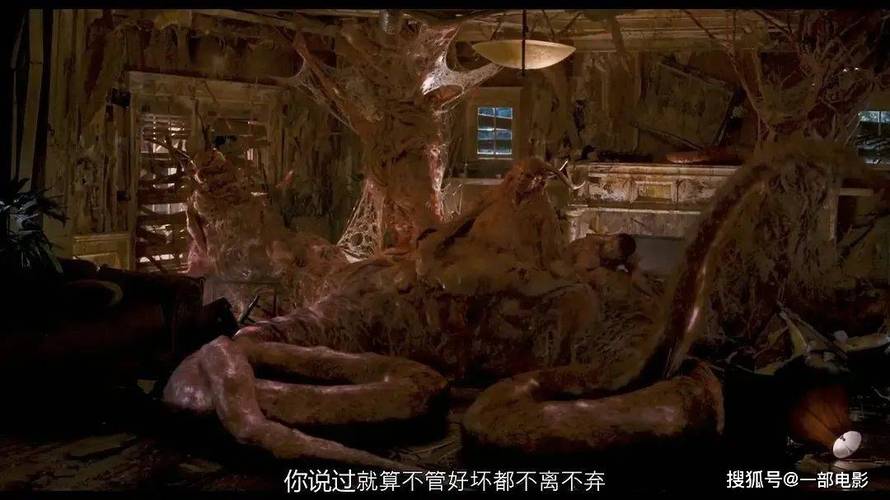 老湿影院看全部的相关介绍