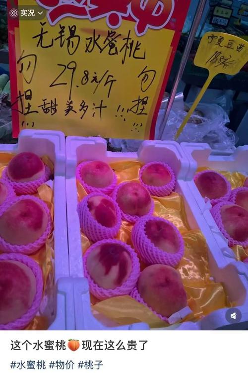 女老师操的相关介绍