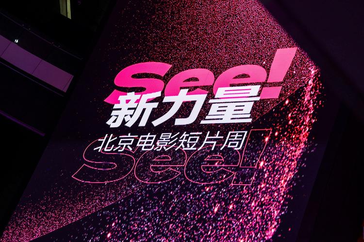 国产一区二区va的相关介绍