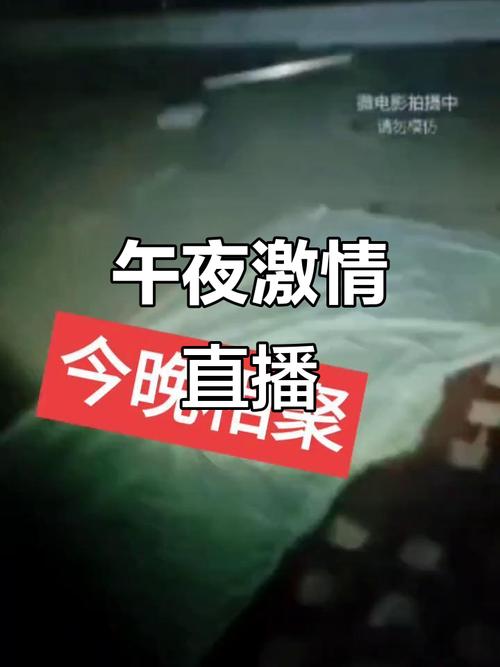 精品久久久久久网的相关介绍