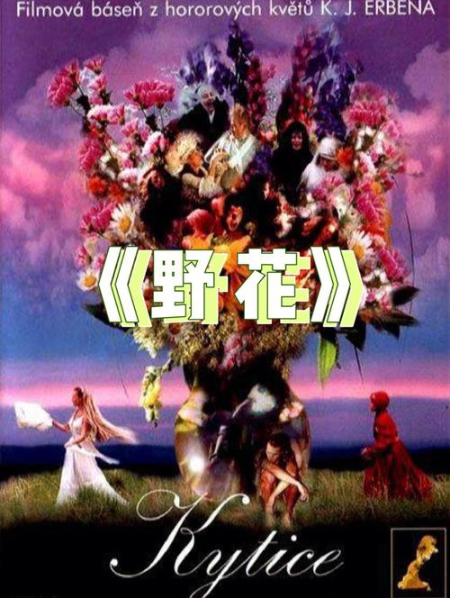 操批动漫的相关介绍
