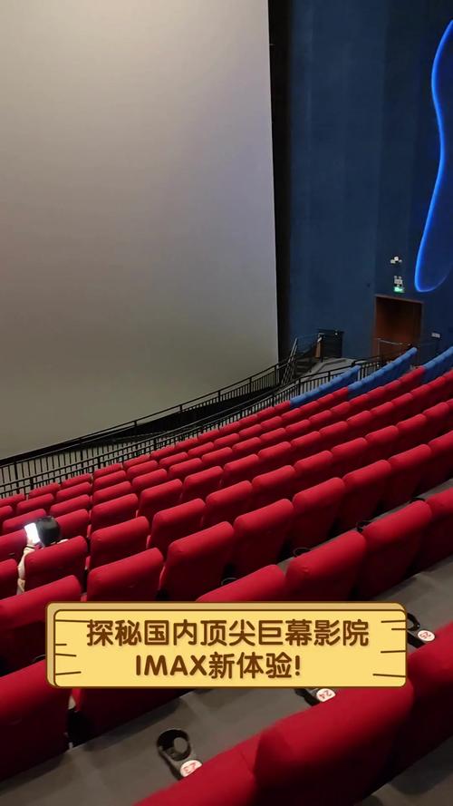 成年人毛片网络的相关介绍