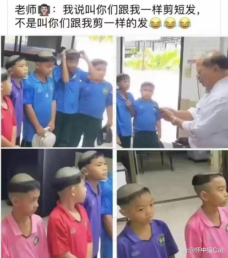 丰满的少妇av一区二区三区的相关介绍