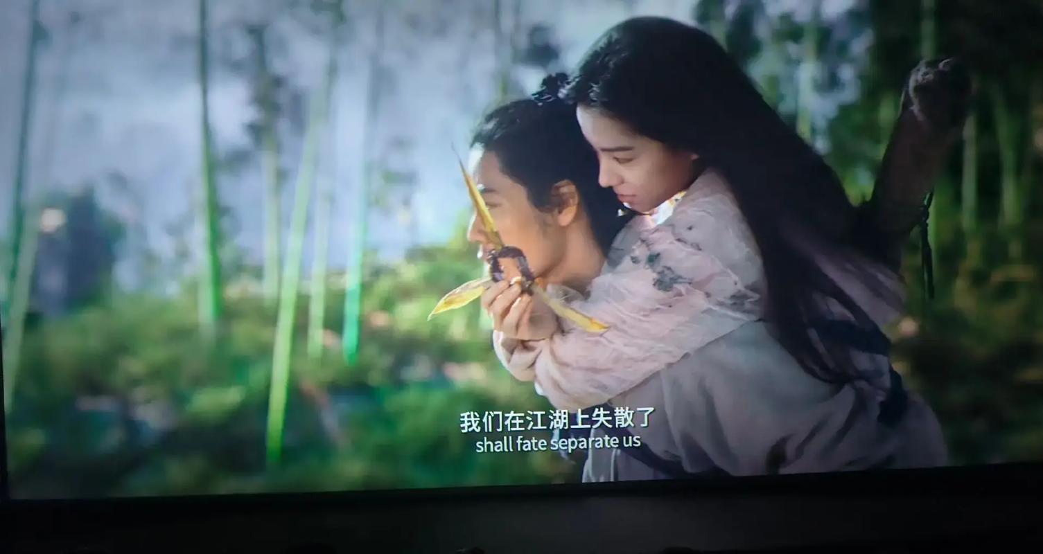 淫姐姐影院的相关介绍