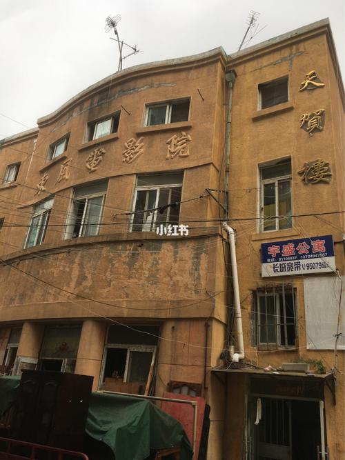 欧美成人影院在线观看的相关介绍