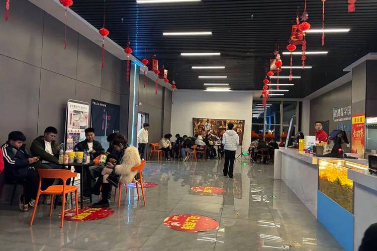 下载一个看视频的app的相关介绍