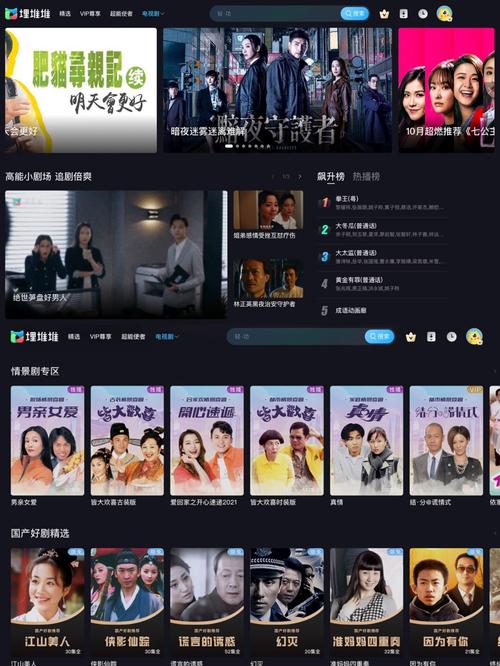 av 熟妇的相关介绍