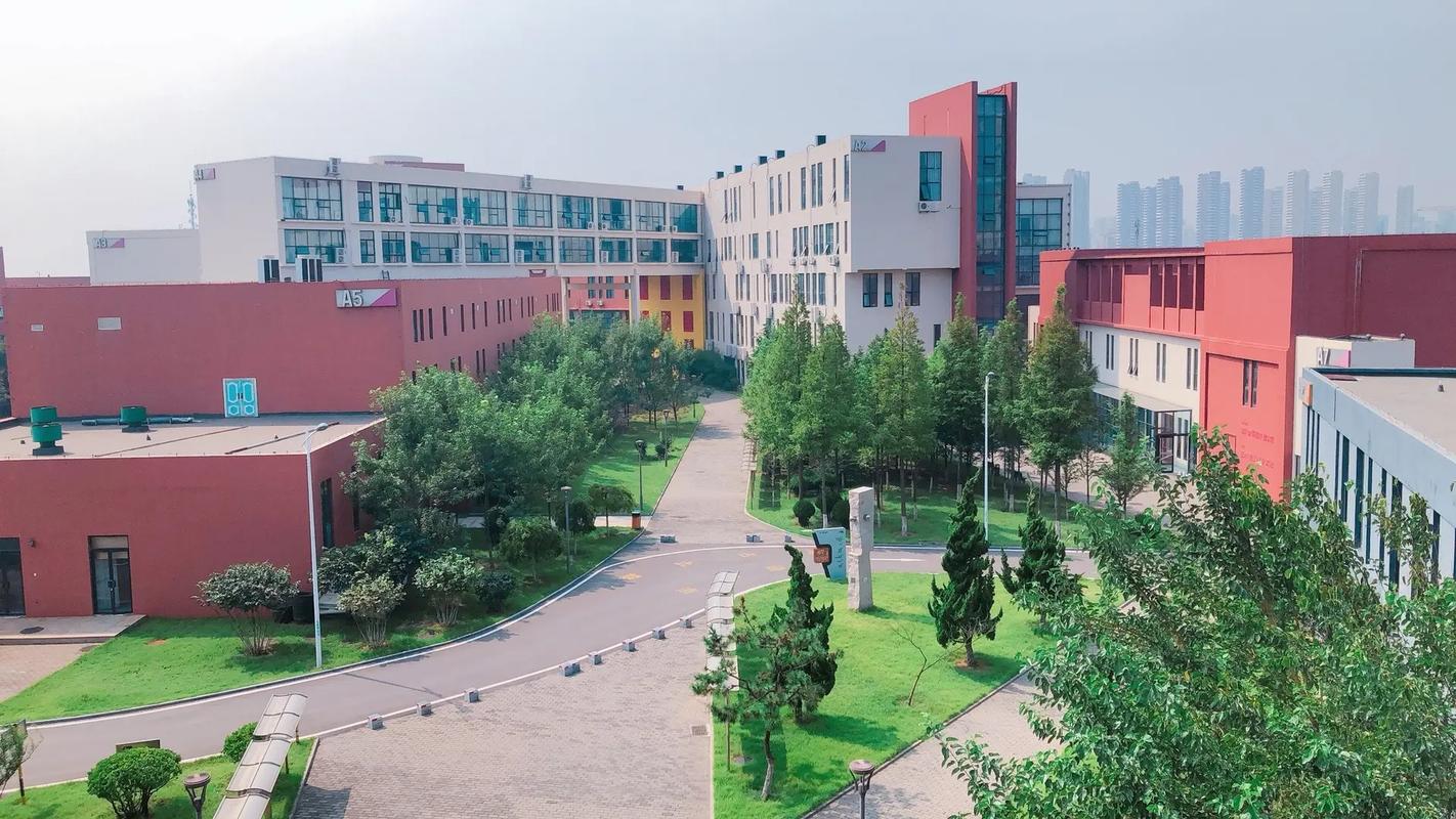 精品久久激情的相关介绍