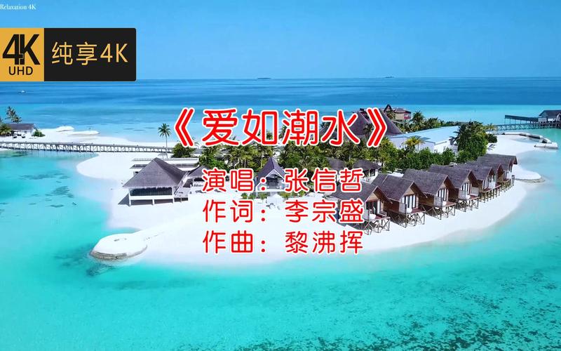 欧美一区二区三区久久综八木的相关介绍