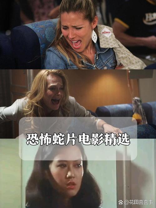 国产又色又爽的相关介绍