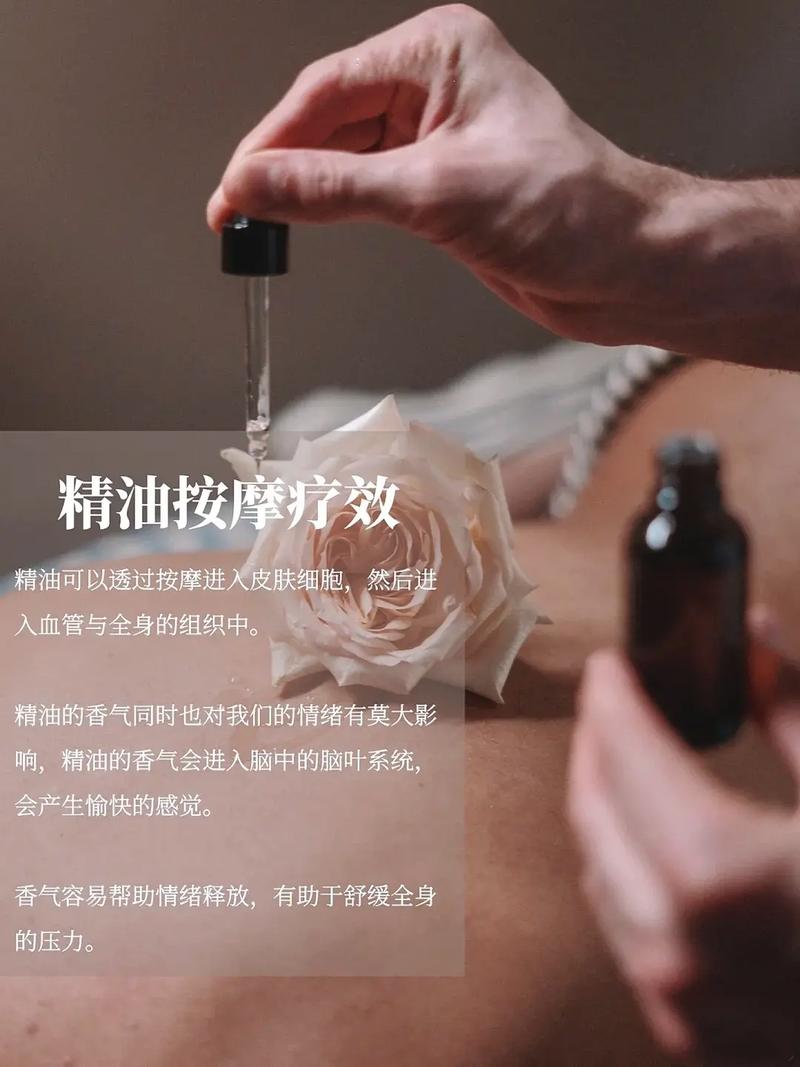 一边摸一边舔的相关介绍