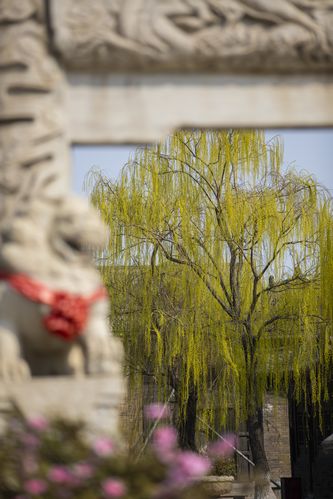 人人澡人人妻人人爽少妇的相关介绍