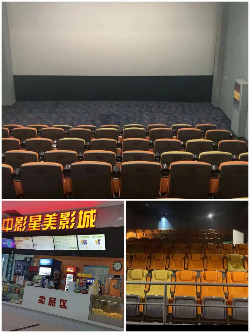 欧美老熟妇xxx的相关介绍