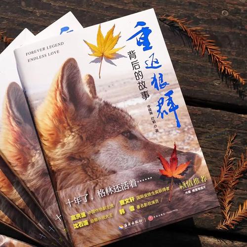 邻居少妇人妻的欲望小说阅读的相关介绍