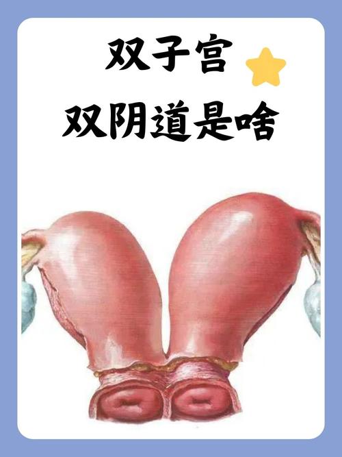 舔白浆视频的相关介绍