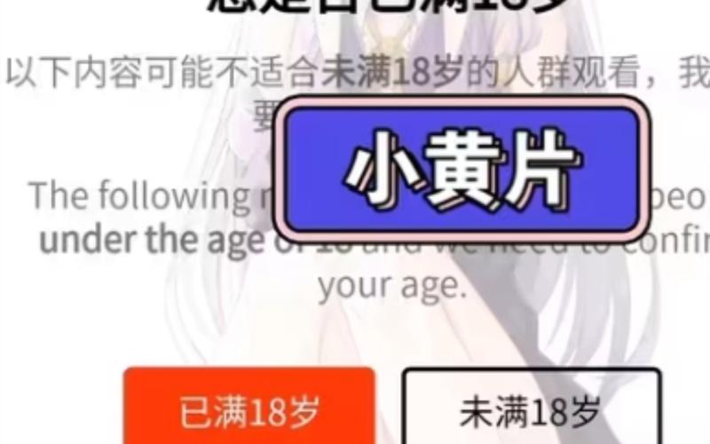 mm356少妇人妻的相关介绍