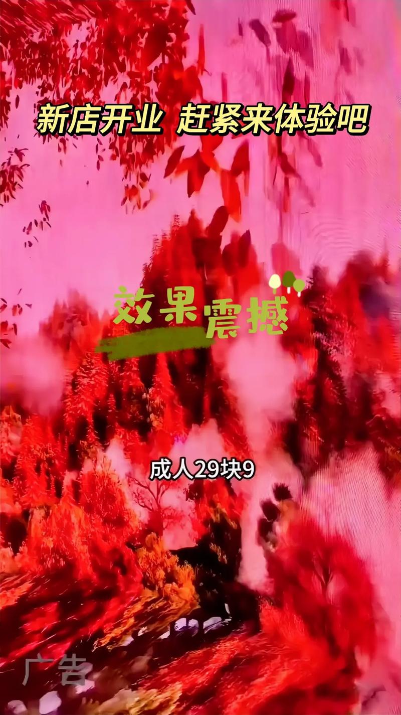 何运晨被c到高潮小说启程cp的相关介绍