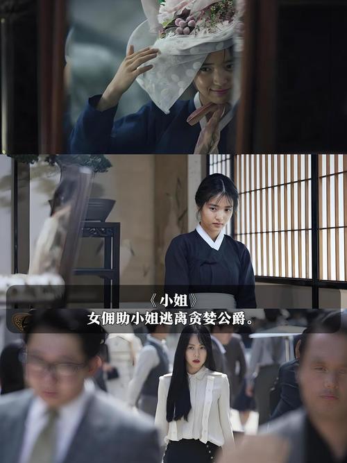 16—17女人毛片毛片的相关介绍