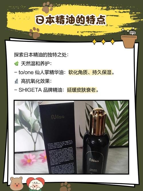 久久99精品久久久久久噜噜噜的相关介绍