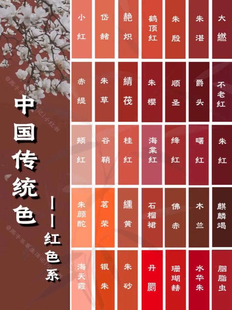 大波妹影院的相关介绍