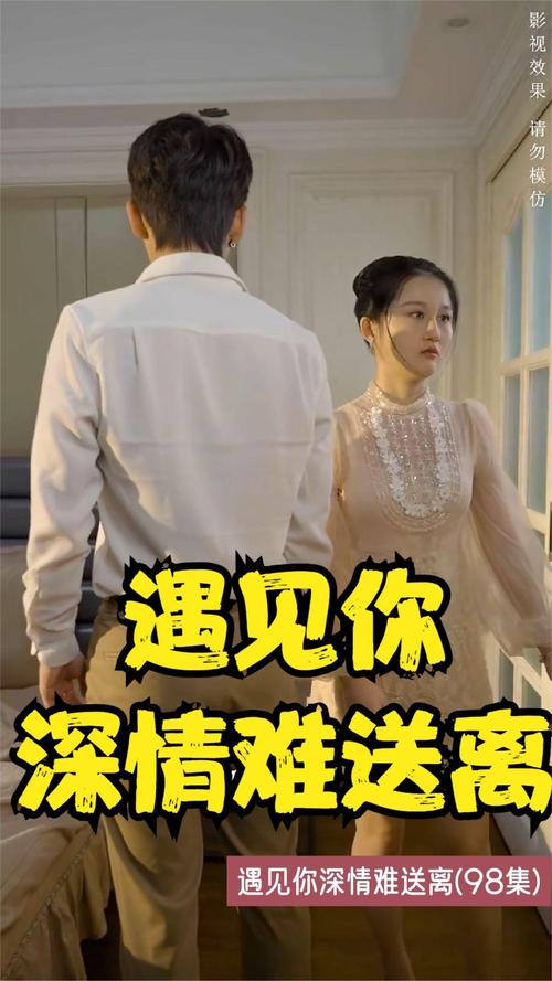 八妻子8影院秋霞网的相关介绍