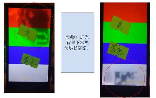 18禁在线网站动漫的相关介绍