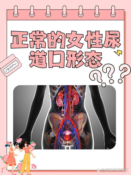 天龙影院的相关介绍