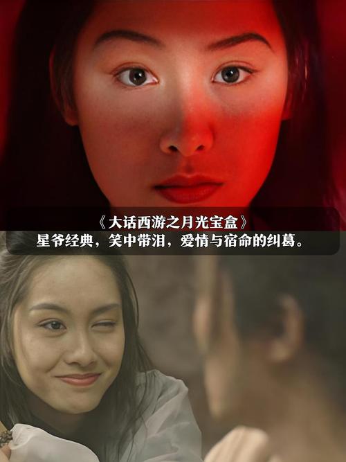 宅宅影院的相关介绍