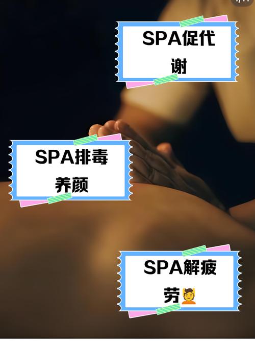 岛国岛毛片的相关介绍
