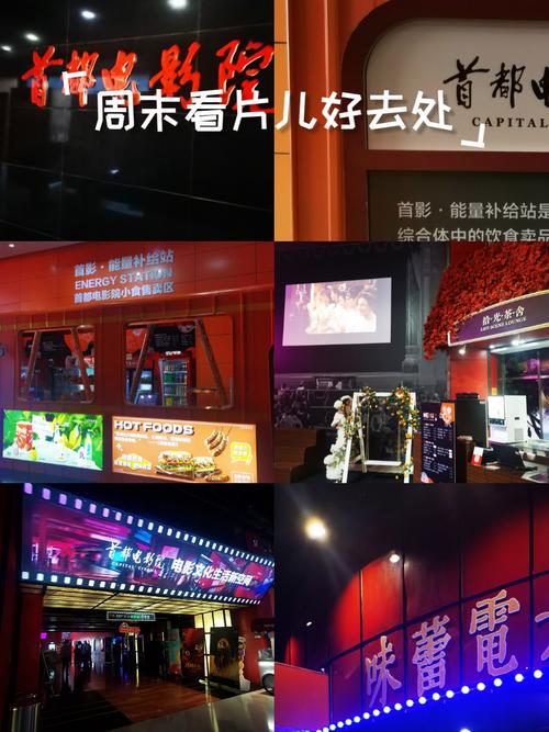 欧美另类丰满熟妇伦xxxxx的相关介绍